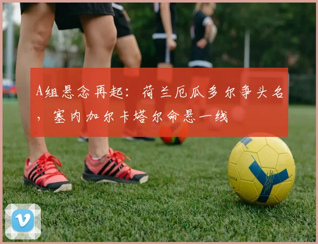 A组悬念再起：荷兰厄瓜多尔争头名，塞内加尔卡塔尔命悬一线