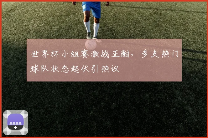 世界杯小组赛激战正酣，多支热门球队状态起伏引热议